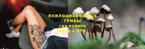 дмт Балабаново
