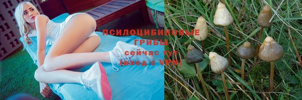 дмт Балабаново