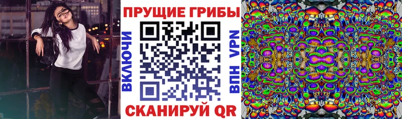 Галлюциногенные грибы прущие грибы  закладки  Зерноград 